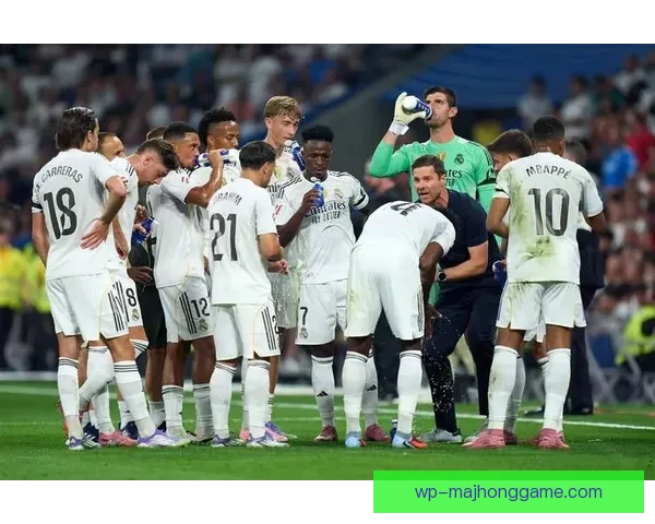 尊贵的皇马球迷必看：全方位分析皇马本赛季表现与未来前景